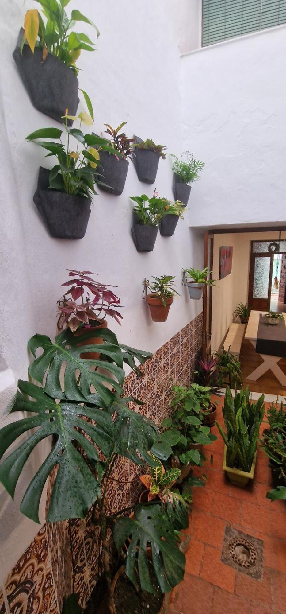 La Casa De Abuela Habitaciones Con Bano Compartido En El Casco Historico De Frigiliana "Solo Adultos" 외부 사진